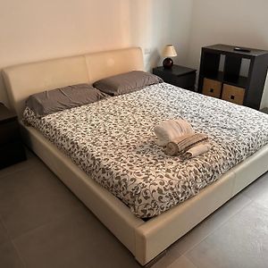 F&G Downtown Milan Citta Studi